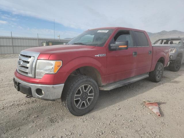  FORD F-150 2012 Burgundy