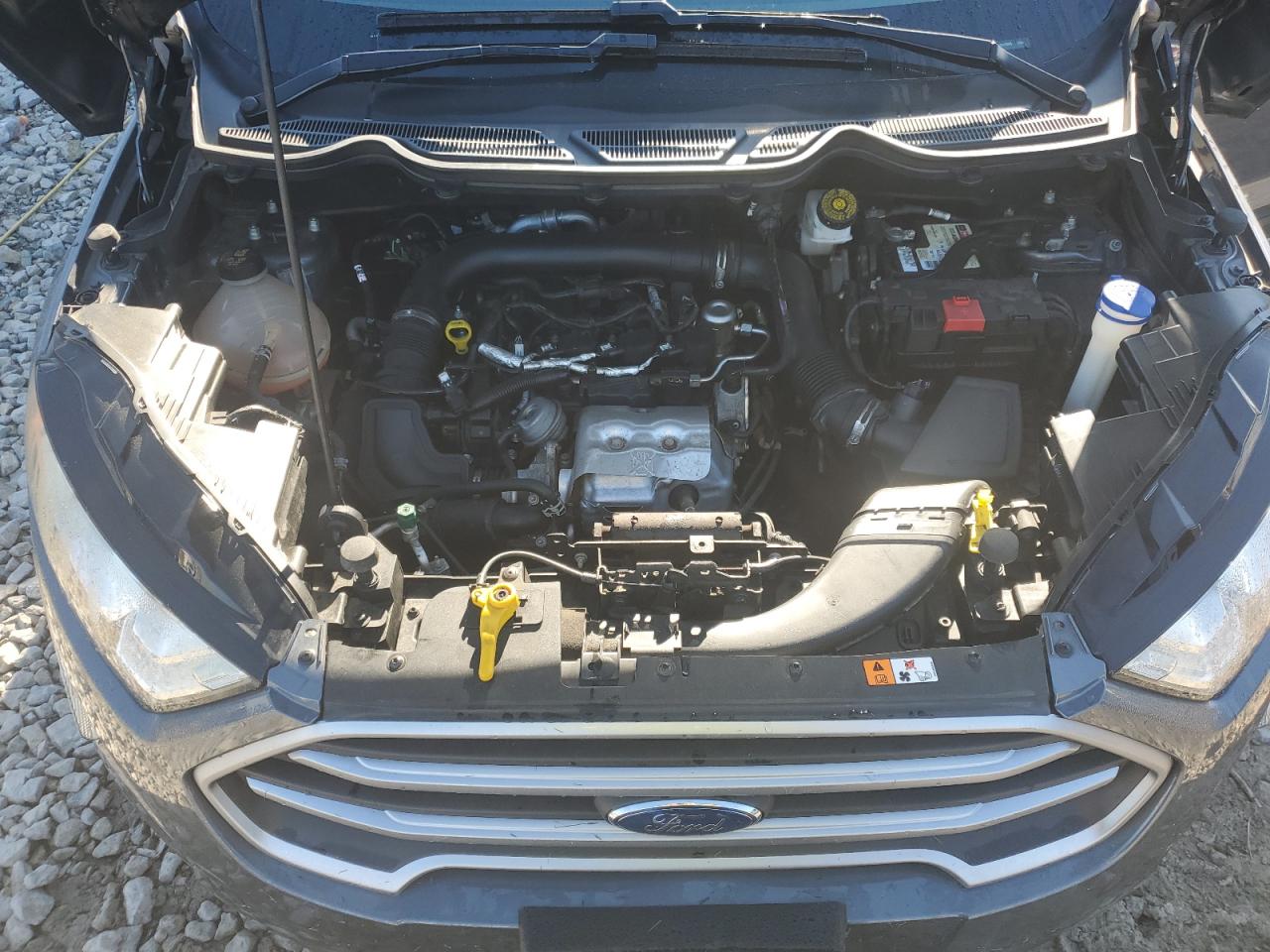 2019 Ford Ecosport Se VIN: MAJ3S2GE9KC252888 Lot: 69626115