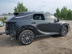 2024 LEXUS RX 350 BASE   for sale at Copart ON - LONDON
