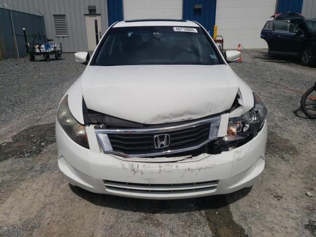 2010 HONDA ACCORD EXL  