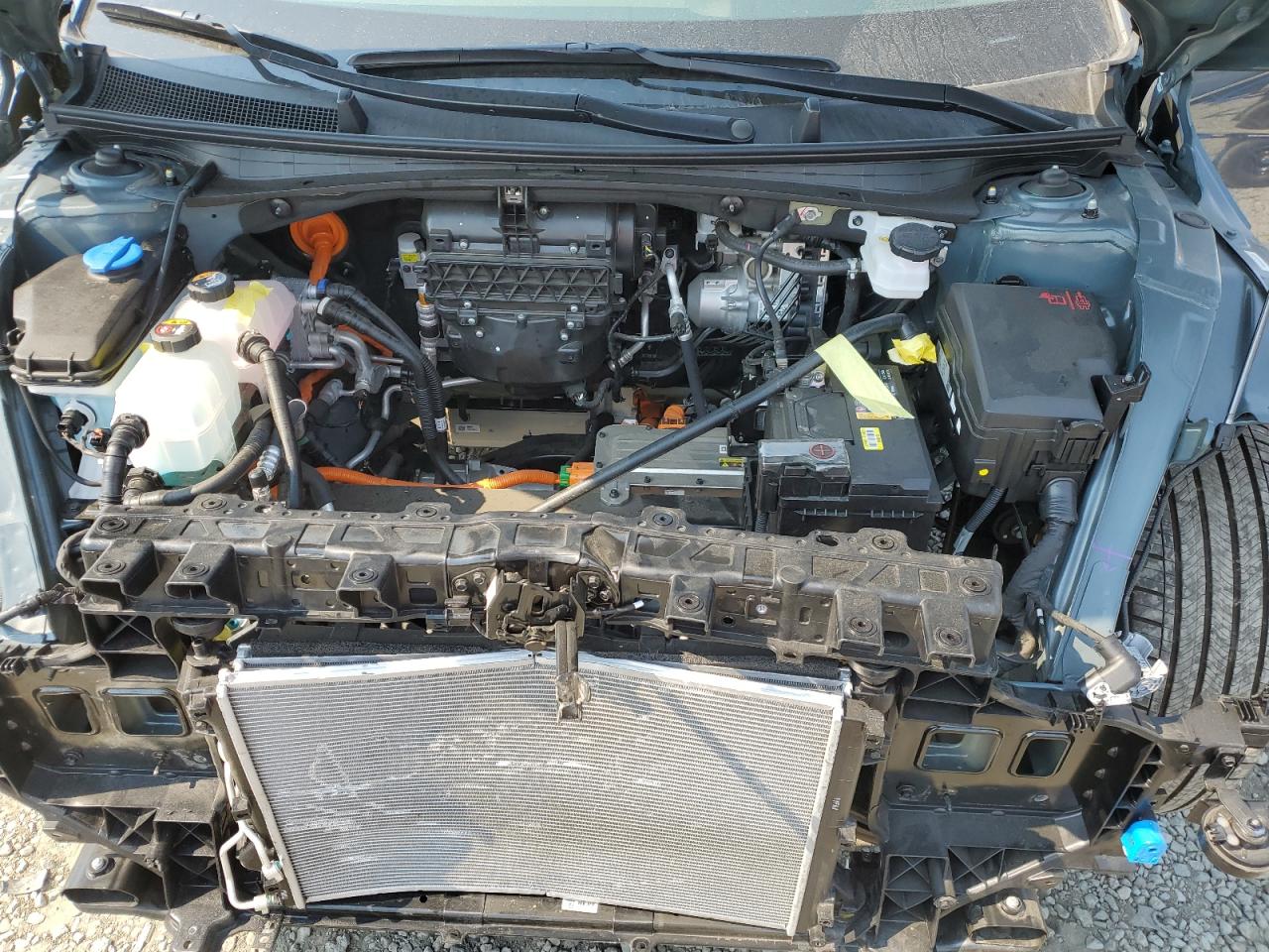 2024 Hyundai Ioniq 5 Limited VIN: KM8KR4DE0RU341475 Lot: 67766285