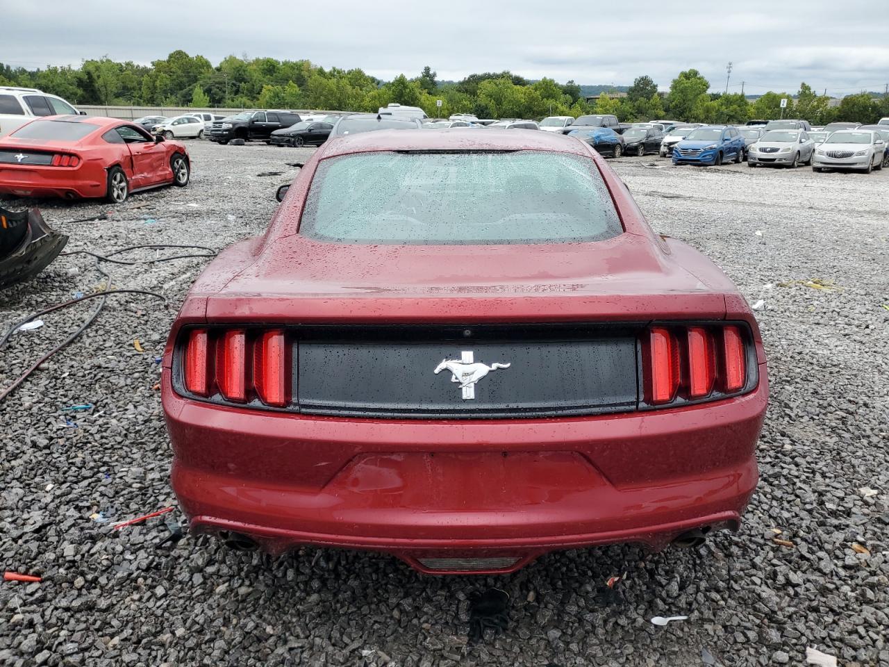 2015 Ford Mustang VIN: 1FA6P8AM4F5343966 Lot: 67437655