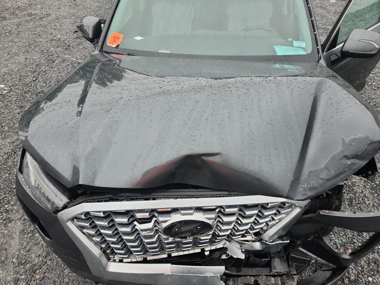 2020 Hyundai Palisade Sel VIN: KM8R24HE5LU163034 Lot: 68637645