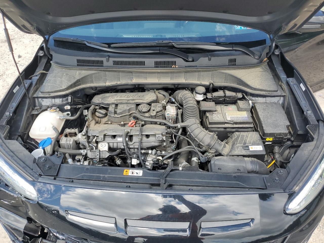 2023 Hyundai Kona N Line VIN: KM8K3CA33PU012376 Lot: 81231715