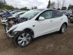 2023 TESLA MODEL Y    à vendre chez Copart ON - TORONTO