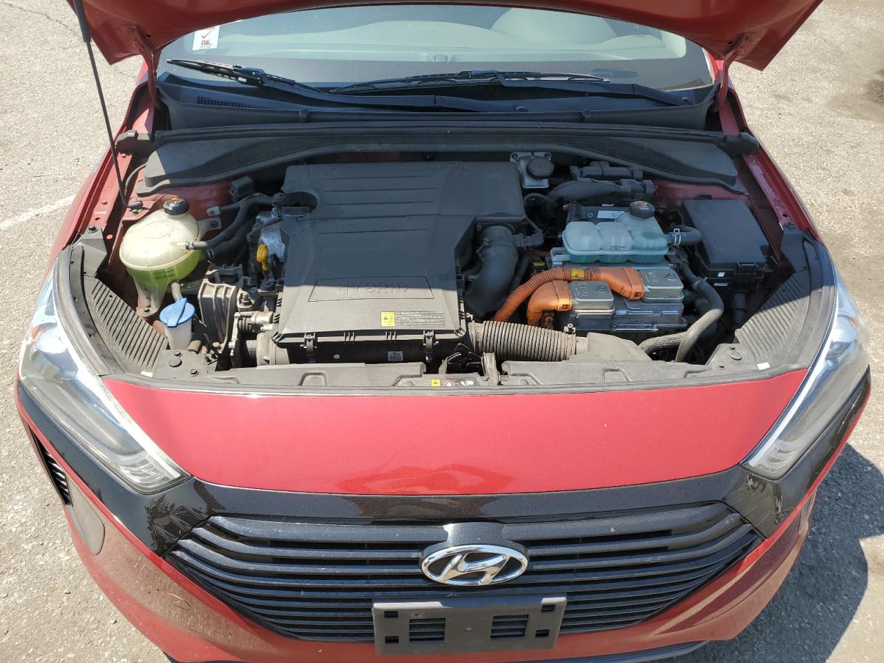 2019 Hyundai Ioniq Blue VIN: KMHC65LCXKU173689 Lot: 68295055