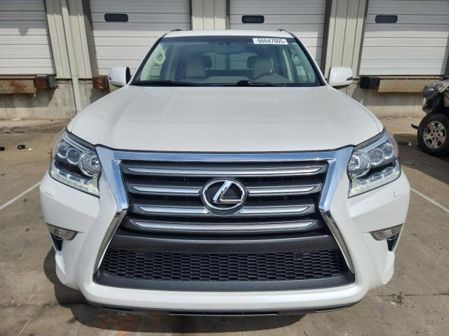 LEXUS GX 2019 White
