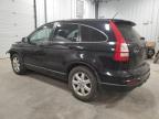 2010 HONDA CR-V LX   for sale at Copart ON - OTTAWA