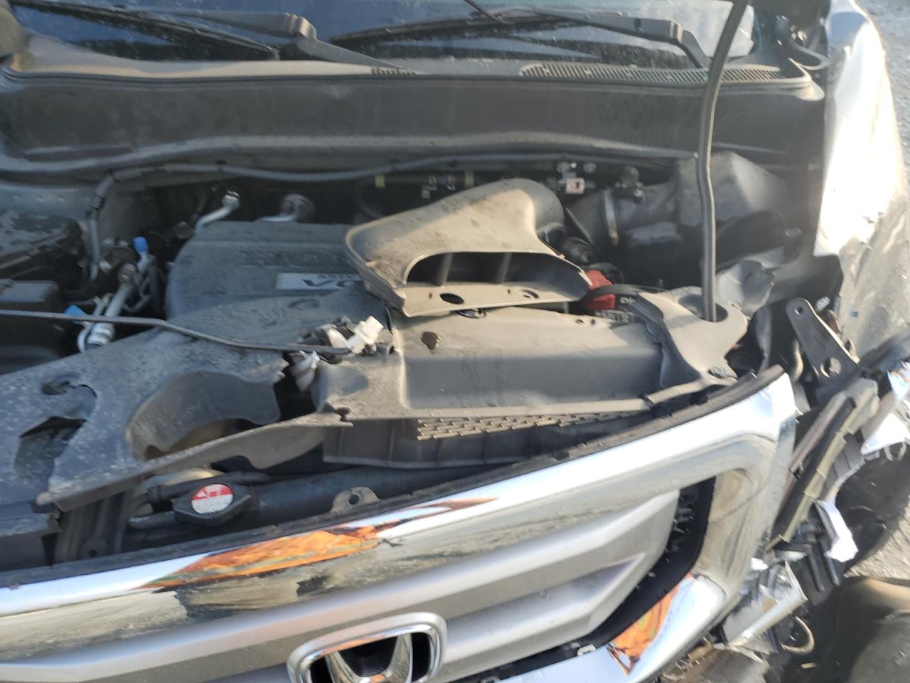 2009 Honda Pilot Exl VIN: 5FNYF48519B001018 Lot: 69613075