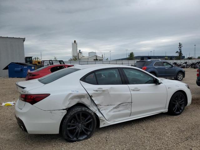  ACURA TLX 2020 Biały