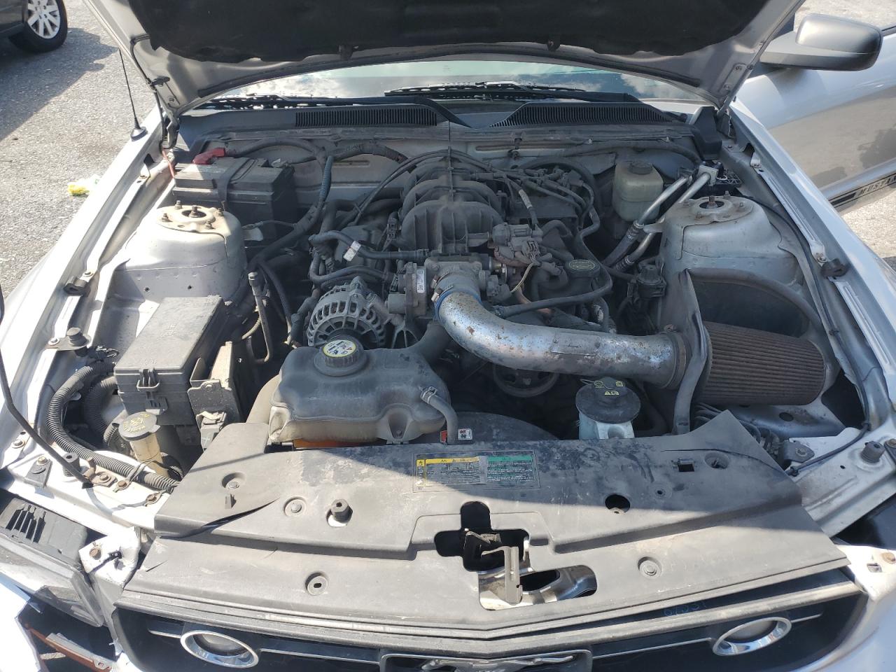 2007 Ford Mustang VIN: 1ZVFT80N775210634 Lot: 68313455