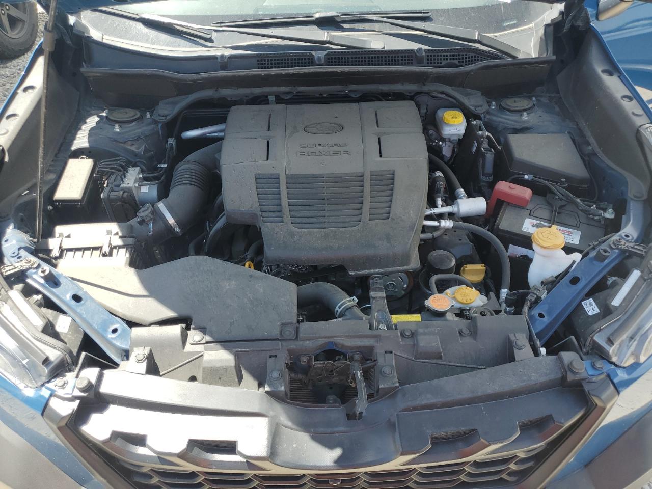 2023 Subaru Forester Wilderness VIN: JF2SKAMC7PH542884 Lot: 67316895