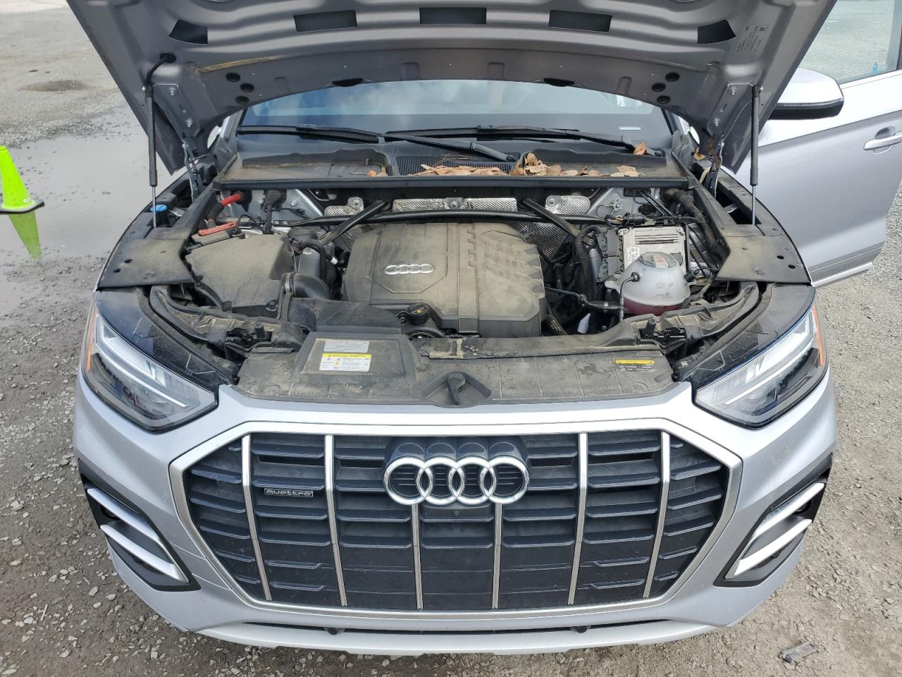 2022 Audi Q5 Premium Plus 40 VIN: WA1BBAFY6N2084305 Lot: 67822165