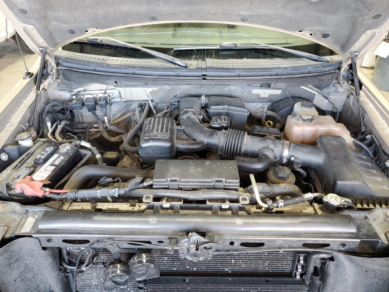 2010 Ford F150 Supercrew VIN: 1FTFW1CV9AKA89871 Lot: 67852425