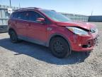 2013 FORD ESCAPE SEL   à vendre chez Copart ON - OTTAWA
