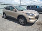 2021 FORD ESCAPE SE   for sale at Copart ON - OTTAWA
