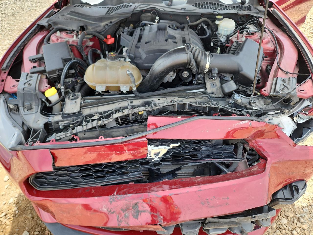 2015 Ford Mustang VIN: 1FA6P8TH4F5375316 Lot: 70221615