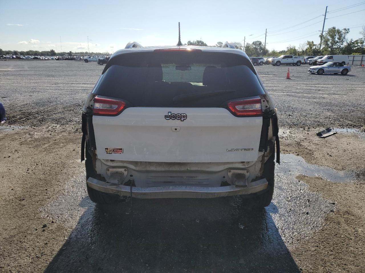 2014 Jeep Cherokee Limited VIN: 1C4PJLDB0EW318763 Lot: 69446935