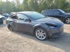 2024 TESLA MODEL Y    for sale at Copart ON - COOKSTOWN