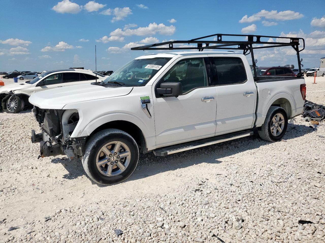 2024 Ford F150 Xlt white null gas 1FTEW3KPXRKD94320 photo #1