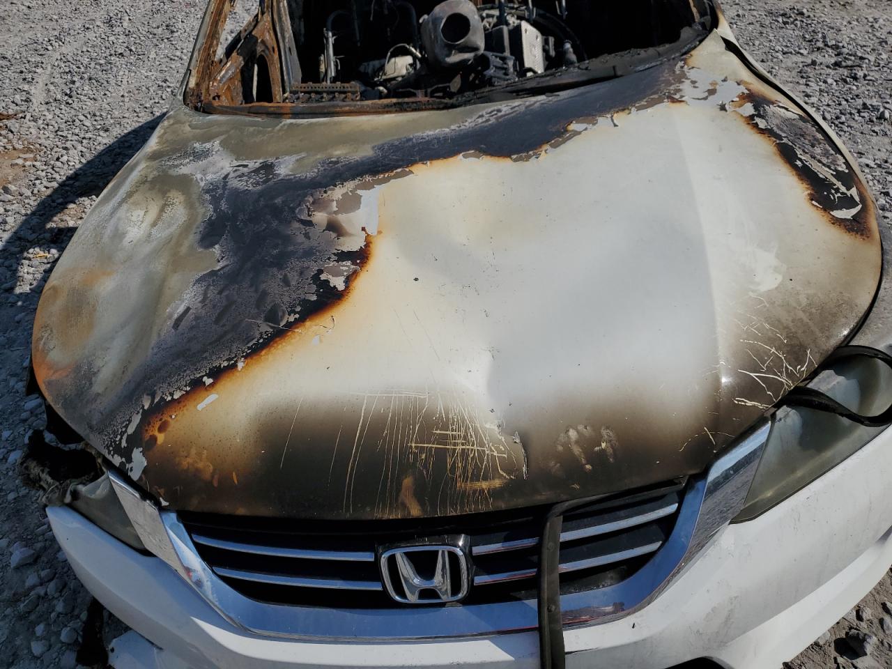 2013 Honda Accord Exl VIN: 1HGCR3F83DA008077 Lot: 66962475