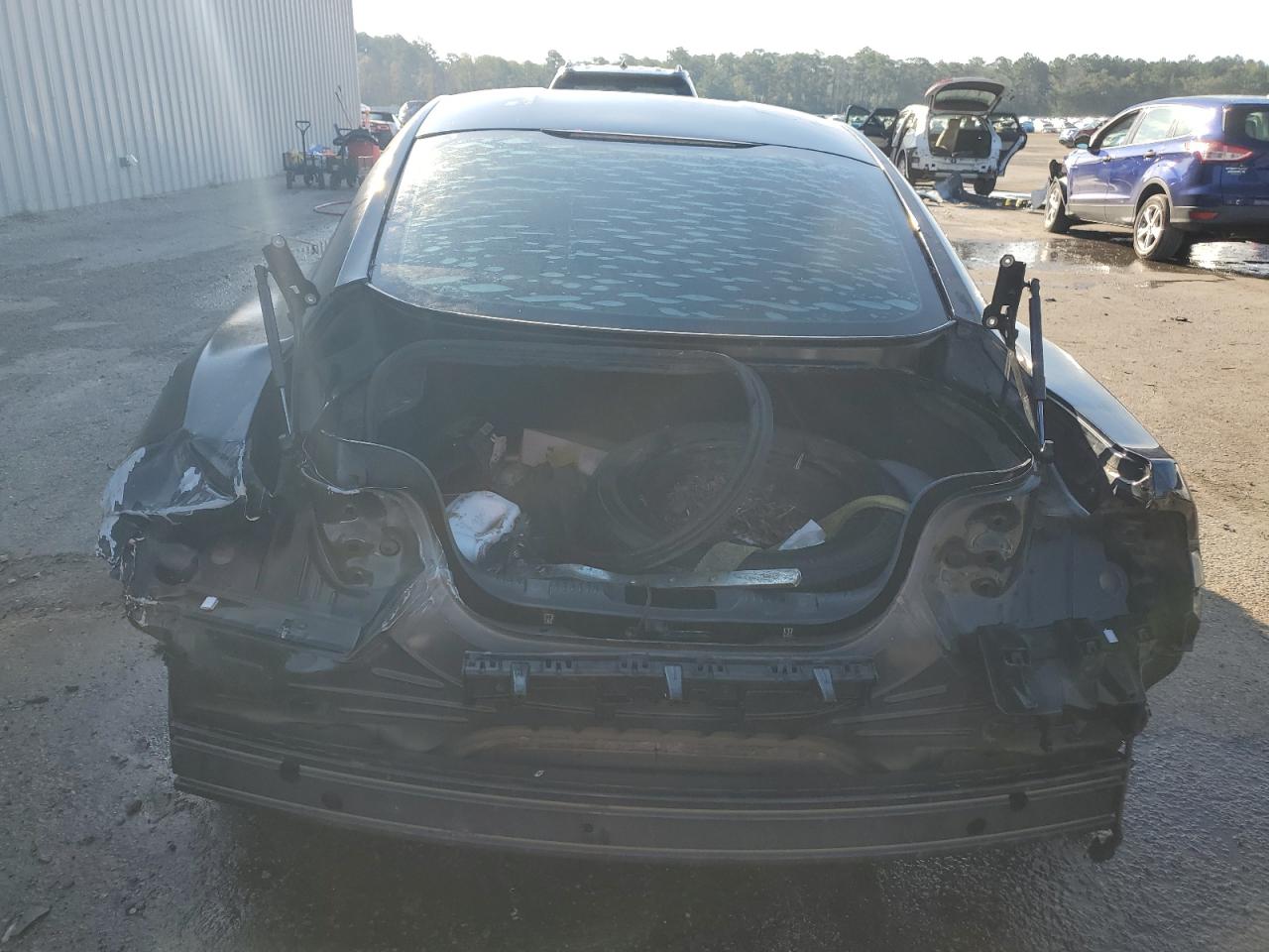 2017 Ford Mustang VIN: 1FA6P8TH6H5228207 Lot: 69043565