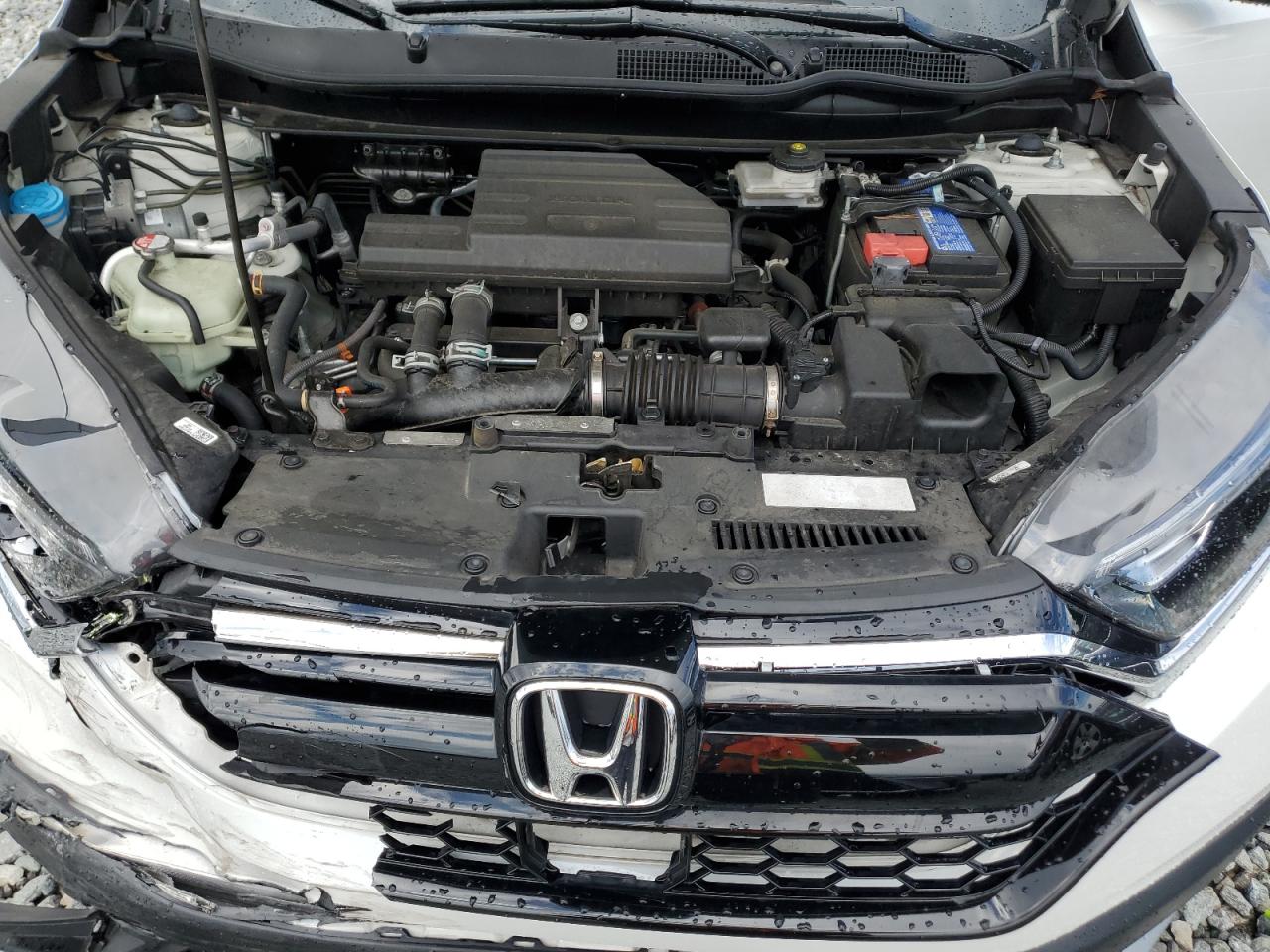 2021 Honda Cr-V Exl VIN: 2HKRW2H83MH684417 Lot: 70831005