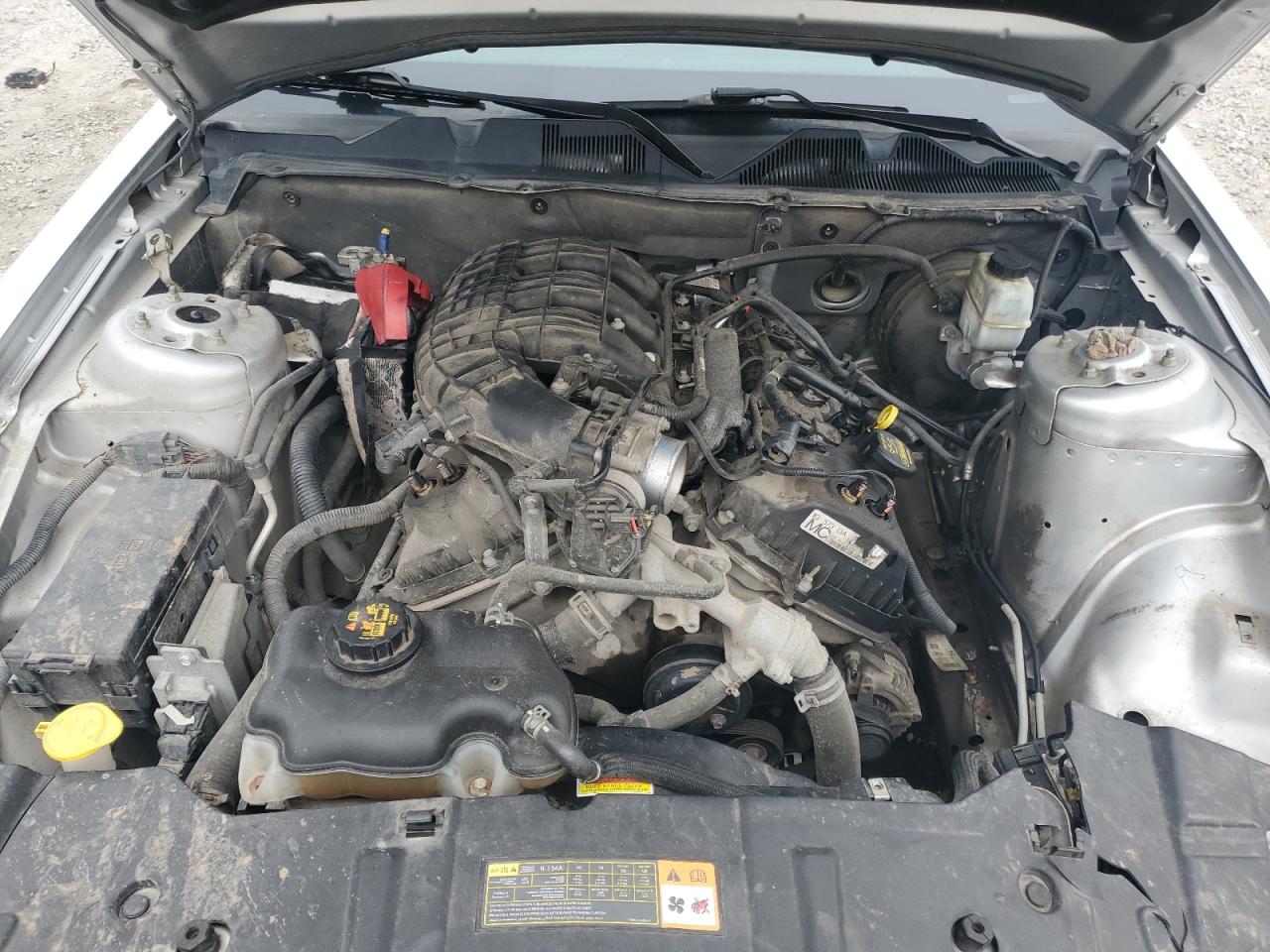 2013 Ford Mustang VIN: 1ZVBP8AM3D5254134 Lot: 69618685