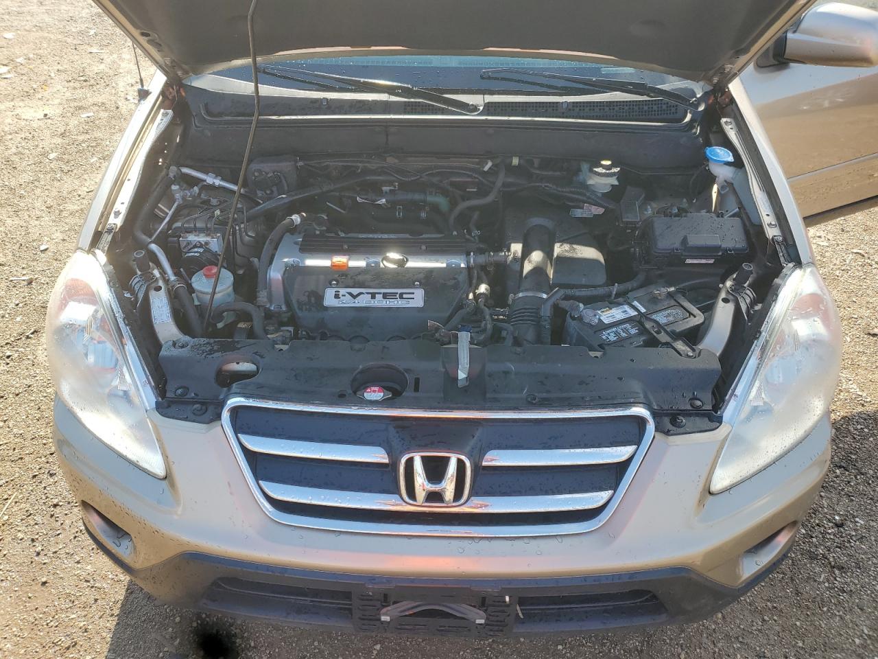 2006 Honda Cr-V Se VIN: SHSRD78996U408362 Lot: 70439355