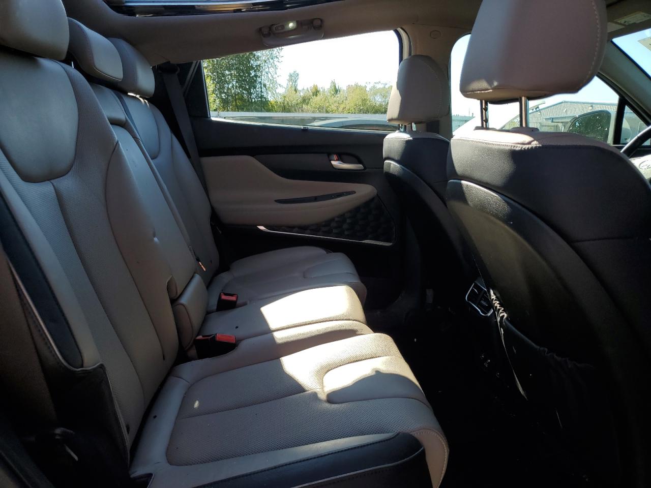 2022 Hyundai Santa Fe Limited VIN: 5NMS4DAL8NH393895 Lot: 69767885