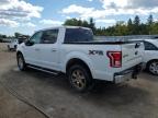 2017 FORD F150 SUPERCREW   for sale at Copart ON - TORONTO