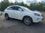 2013 LEXUS RX 350 BASE   for sale at Copart ON - COOKSTOWN
