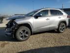 2024 TOYOTA RAV4 XLE   à vendre chez Copart AB - EDMONTON