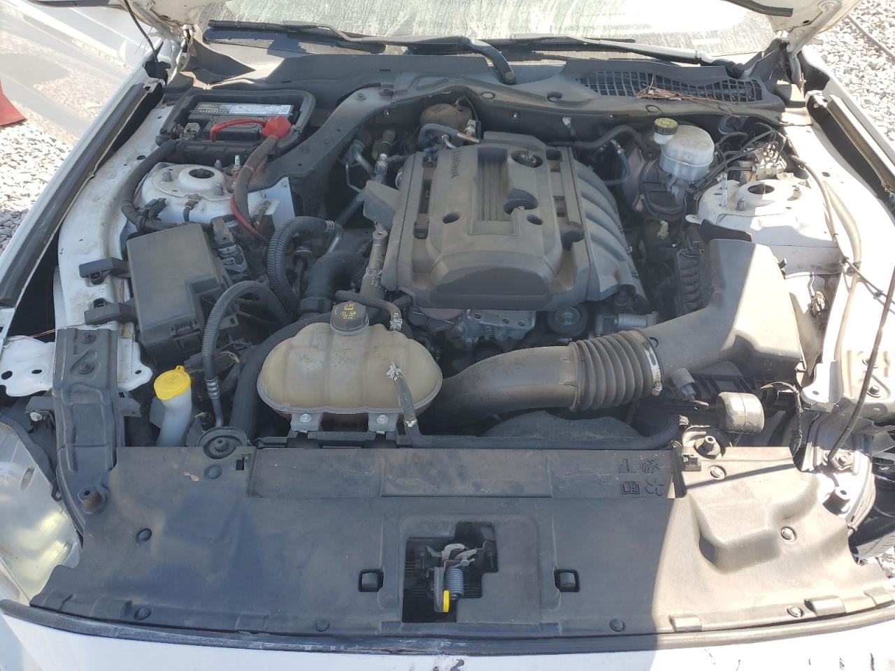 2019 Ford Mustang VIN: 1FA6P8TH5K5141633 Lot: 70482695