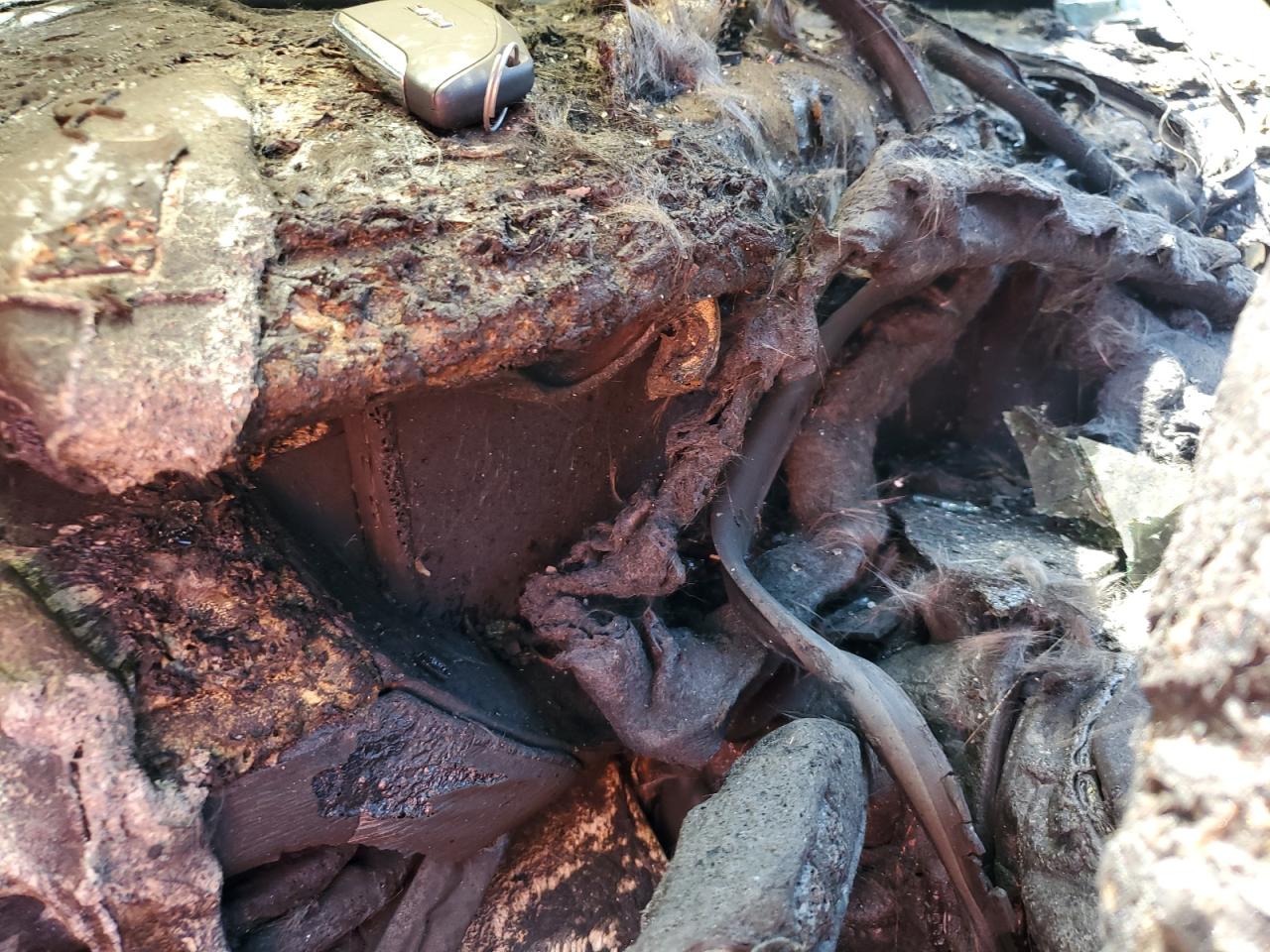 2024 GMC Acadia Denali VIN: 1GKENLKSXRJ223973 Lot: 69348645