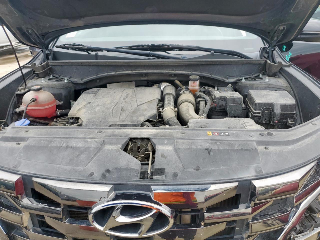 2024 Hyundai Santa Cruz Night VIN: 5NTJCDAF5RH087207 Lot: 69033075
