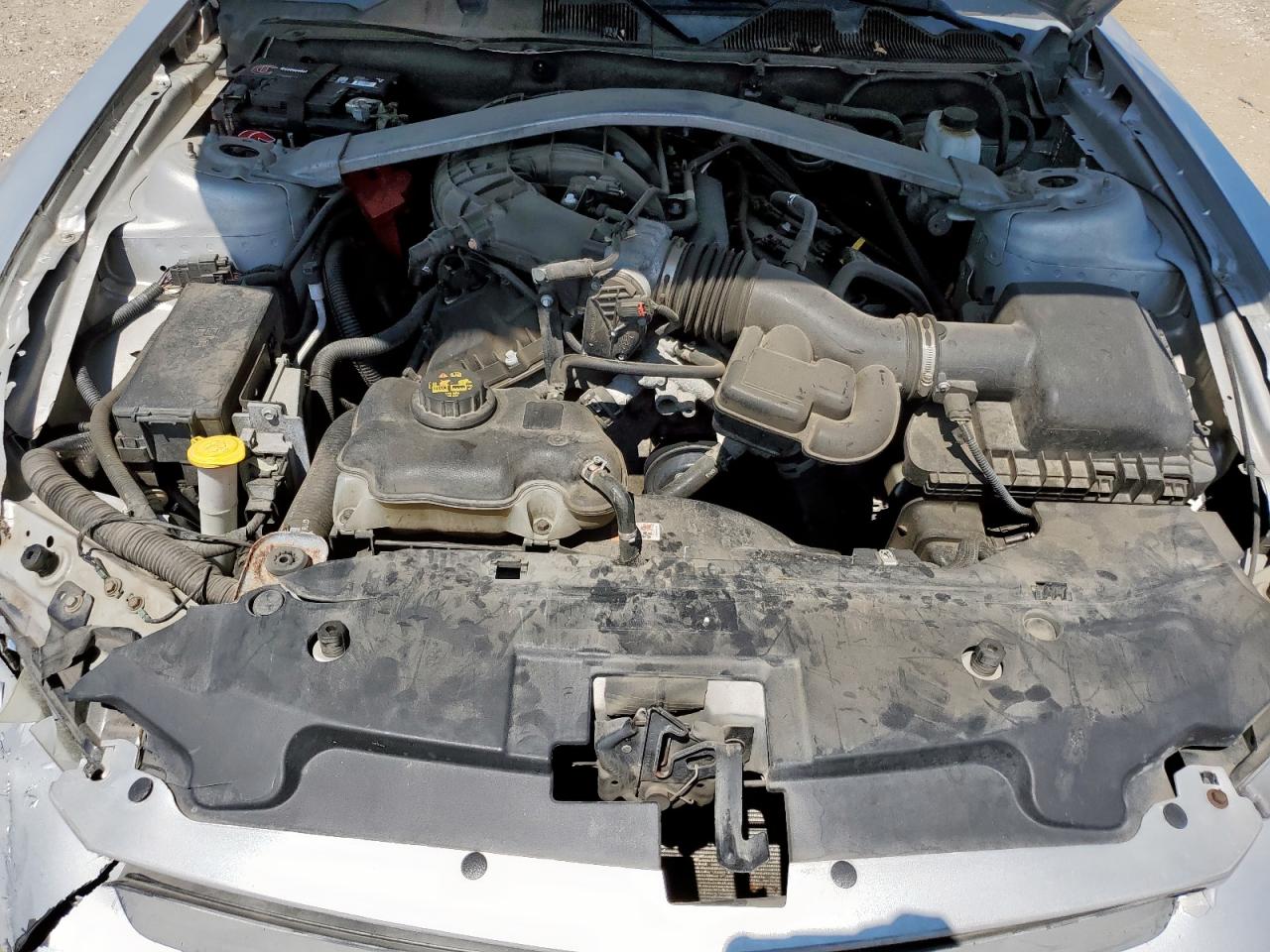 2011 Ford Mustang VIN: 1ZVBP8EM9B5111079 Lot: 67731465