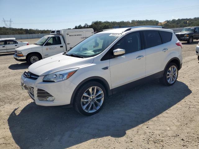  FORD ESCAPE 2016 Белы