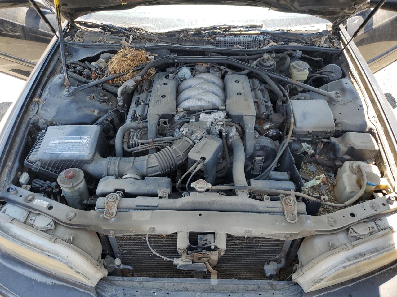 1995 Acura Legend L VIN: JH4KA7664SC016325 Lot: 66740435