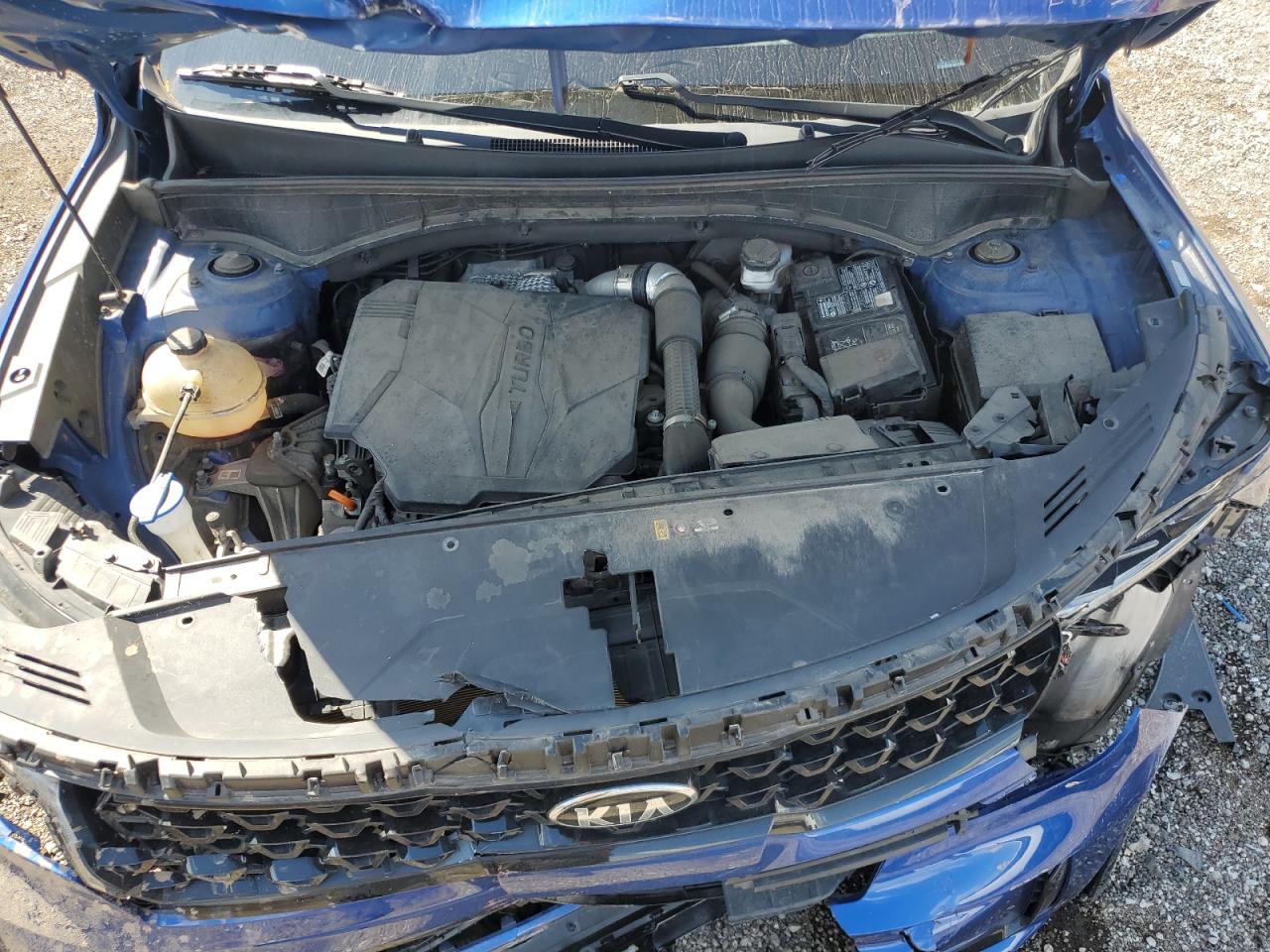 2021 Kia Sorento Sx VIN: 5XYRK4LF5MG071980 Lot: 70071275