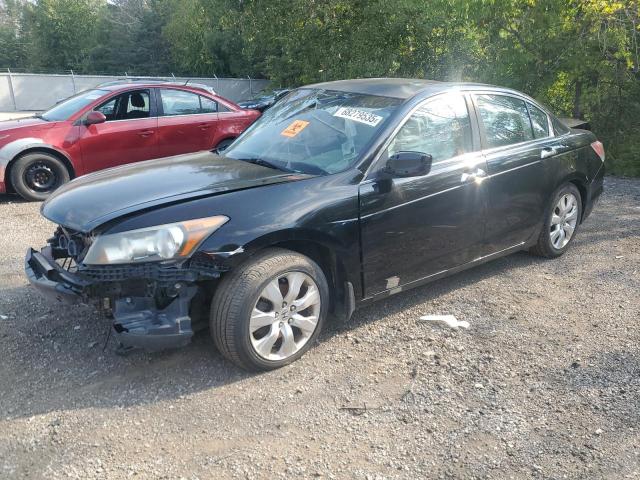 2010 HONDA ACCORD EXL   for sale at Copart ON - COOKSTOWN