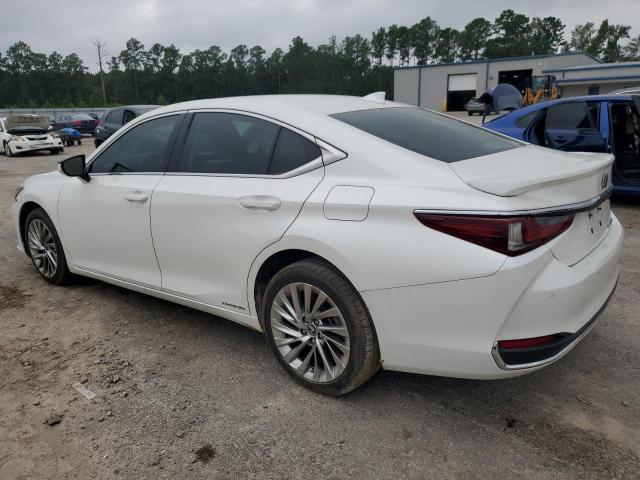  LEXUS ES300 2020 Белы