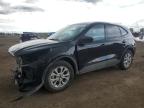 2025 FORD ESCAPE ACTIVE   à vendre chez Copart AB - CALGARY