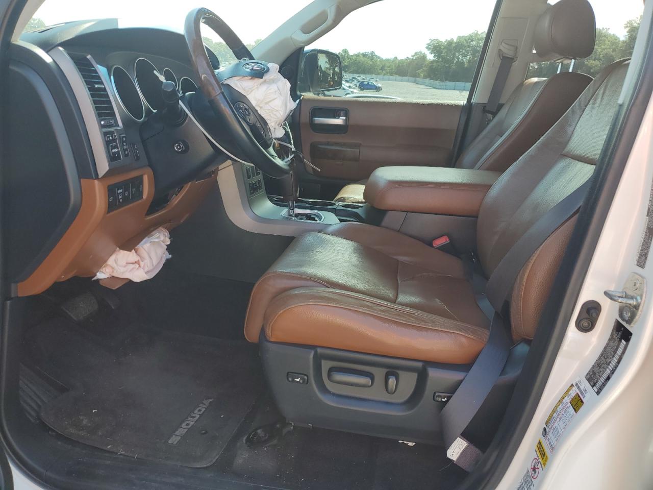 2010 Toyota Sequoia Platinum VIN: 5TDYY5G11AS023244 Lot: 70099145