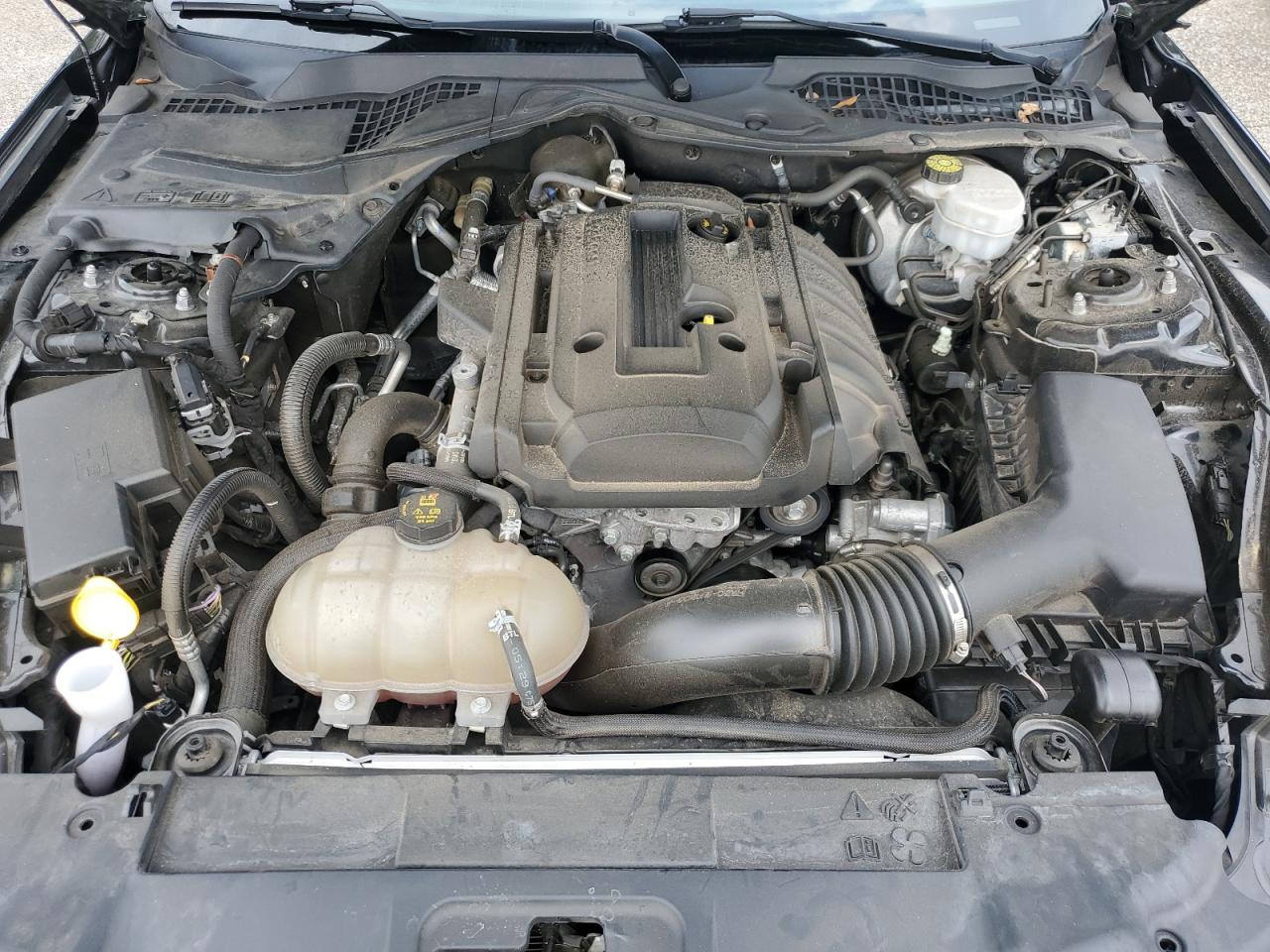 2019 Ford Mustang VIN: 1FA6P8THXK5166835 Lot: 70301455