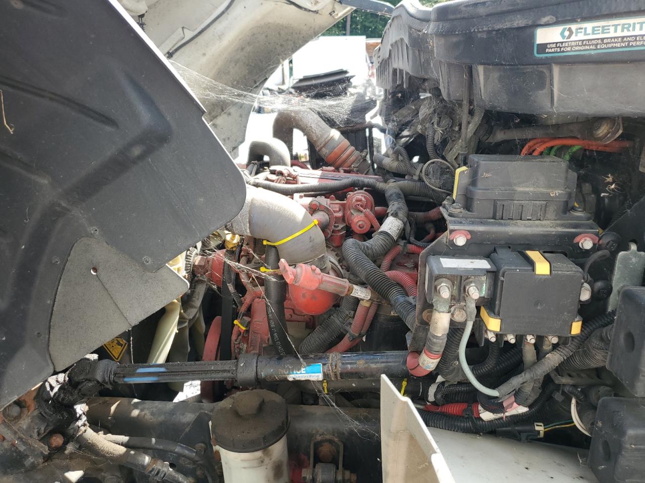 2019 International 4000 4300 - Trucks VIN: 1HTMMMML6KH587717 Lot: 67796325