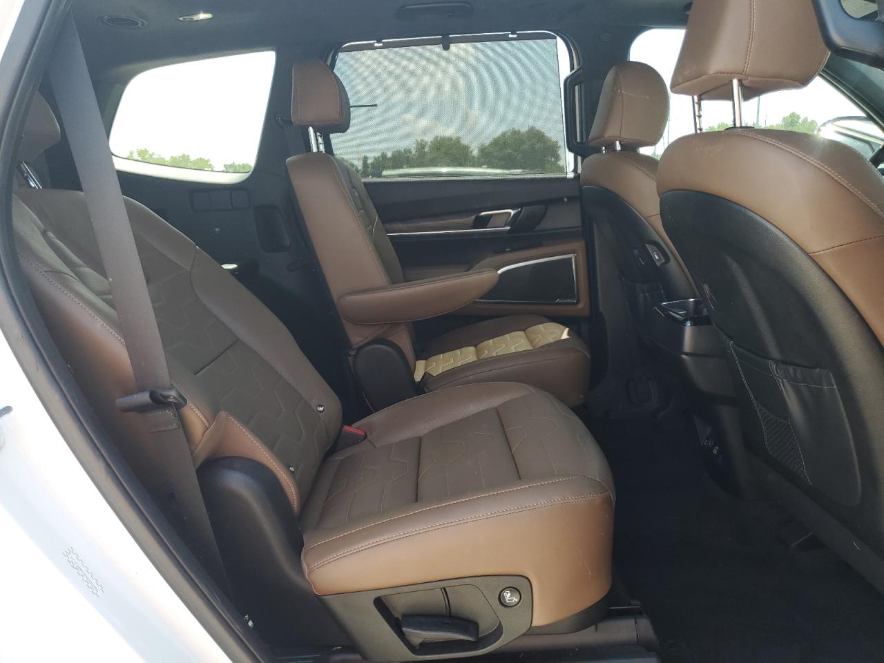 2022 Kia Telluride Sx VIN: 5XYP5DHC3NG325393 Lot: 68709695