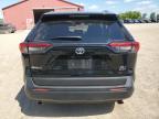 2025 TOYOTA RAV4 XLE   for sale at Copart ON - LONDON