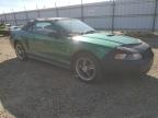 2001 FORD MUSTANG    for sale at Copart AB - EDMONTON