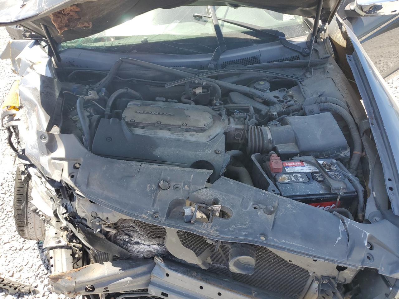 2009 Honda Accord Exl VIN: 1HGCP36869A025307 Lot: 69974985